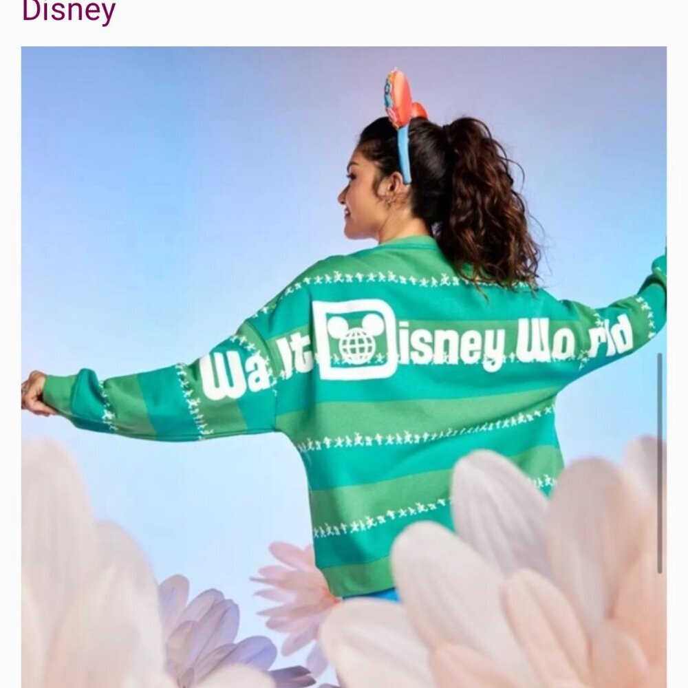 Disney Park Plus-Size Unisex Green Stripe Spell-Out Back Sweatshirt Sz 2X